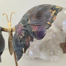 Load image into Gallery viewer, Purple Labradorite Wings
