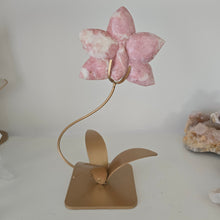 Load image into Gallery viewer, Pink Opal Orchid