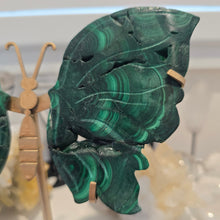 Load image into Gallery viewer, Malachite Wings