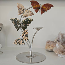 Load image into Gallery viewer, Ocean Jasper Butterfly Set