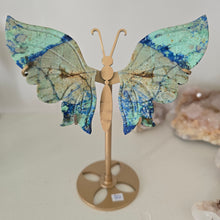 Load image into Gallery viewer, Azurite Malachite Butterfly Wings