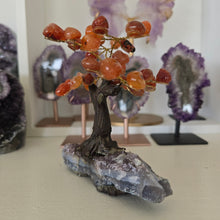Load image into Gallery viewer, Carnelian Bonsai Tree on Amethyst Base