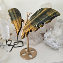 Load image into Gallery viewer, Tiger Eye Butterfly with Stand