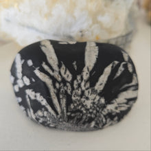 Load image into Gallery viewer, Chrysanthemum Stone Palmstone