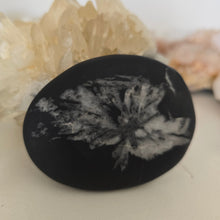 Load image into Gallery viewer, Chrysanthemum Stone Palmstone