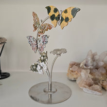 Load image into Gallery viewer, Ocean Jasper Butterfly Set