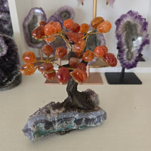 Load image into Gallery viewer, Carnelian Bonsai Tree on Amethyst Base