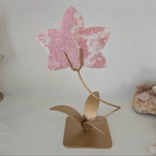 Load image into Gallery viewer, Pink Opal Orchid