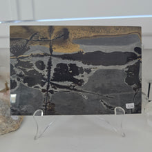 Load image into Gallery viewer, Picture Jasper Book