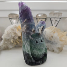 Load image into Gallery viewer, Fluorite Owl in Tree Stump