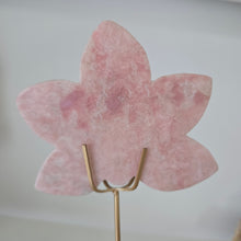 Load image into Gallery viewer, Pink Opal Orchid