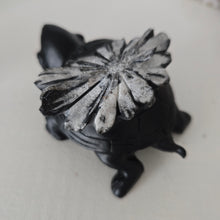 Load image into Gallery viewer, Chrysanthemum Stone Turtle