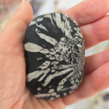 Load image into Gallery viewer, Chrysanthemum Stone Palmstone