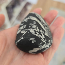 Load image into Gallery viewer, Chrysanthemum Stone Palmstone