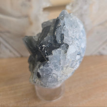 Load image into Gallery viewer, Celestite Cluster Egg