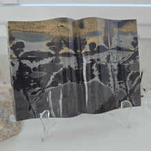 Load image into Gallery viewer, Picture Jasper Book