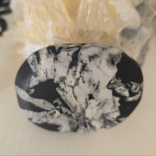 Load image into Gallery viewer, Chrysanthemum Stone Palmstone