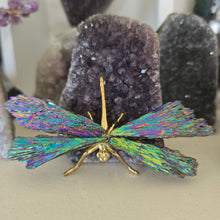 Load image into Gallery viewer, Aura Kyanite Dragonfly - Rainbow