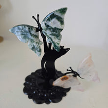 Load image into Gallery viewer, Playful Cat - 2 Butterflies