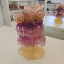 Load image into Gallery viewer, Rainbow Fluorite Owl