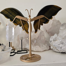 Load image into Gallery viewer, Tiger Eye Butterfly with Stand
