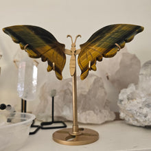 Load image into Gallery viewer, Tiger Eye Butterfly with Stand