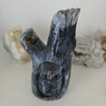 Load image into Gallery viewer, Moss Agate Owl in Tree Stump