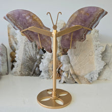 Load image into Gallery viewer, Amethyst Crazy Lace Agate Butterfly Wings