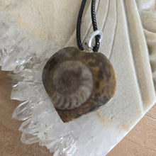 Load image into Gallery viewer, Ammonite Fossil Heart Necklace