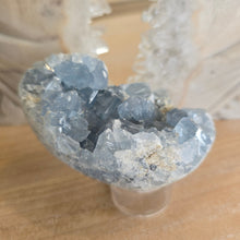 Load image into Gallery viewer, Celestite Cluster Egg