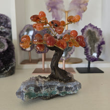 Load image into Gallery viewer, Carnelian Bonsai Tree on Amethyst Base