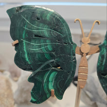 Load image into Gallery viewer, Malachite Wings
