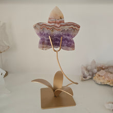 Load image into Gallery viewer, Amethyst Crazy Lace Agate Orchid