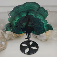 Load image into Gallery viewer, Malachite Peacock