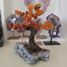 Load image into Gallery viewer, Carnelian Bonsai Tree on Amethyst Base