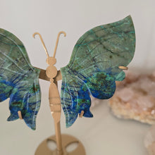 Load image into Gallery viewer, Azurite Malachite Butterfly Wings