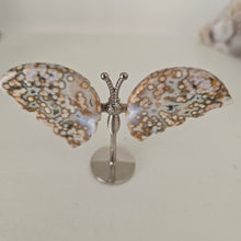 Load image into Gallery viewer, Ocean Jasper Butterfly