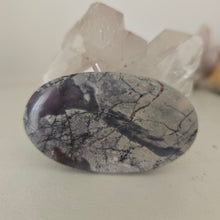 Load image into Gallery viewer, Porcelain Jasper Palmstone
