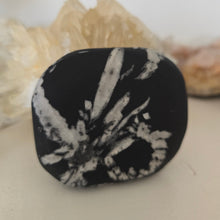 Load image into Gallery viewer, Chrysanthemum Stone Palmstone