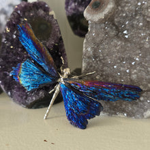 Load image into Gallery viewer, Aura Kyanite Dragonfly - Blue