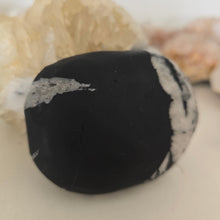 Load image into Gallery viewer, Chrysanthemum Stone Palmstone
