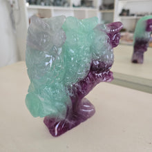 Load image into Gallery viewer, Rainbow Fluorite Owls