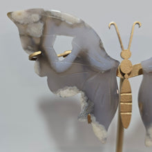 Load image into Gallery viewer, Black Flower Agate Butterfly Wings