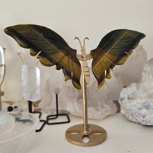 Load image into Gallery viewer, Tiger Eye Butterfly with Stand