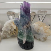 Load image into Gallery viewer, Fluorite Owl in Tree Stump