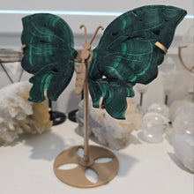 Load image into Gallery viewer, Malachite Wings