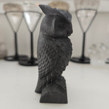 Load image into Gallery viewer, Shungite Owl