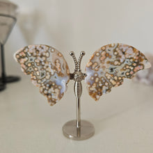 Load image into Gallery viewer, Ocean Jasper Butterfly