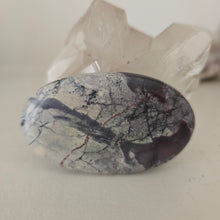 Load image into Gallery viewer, Porcelain Jasper Palmstone