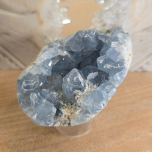 Load image into Gallery viewer, Celestite Cluster Egg